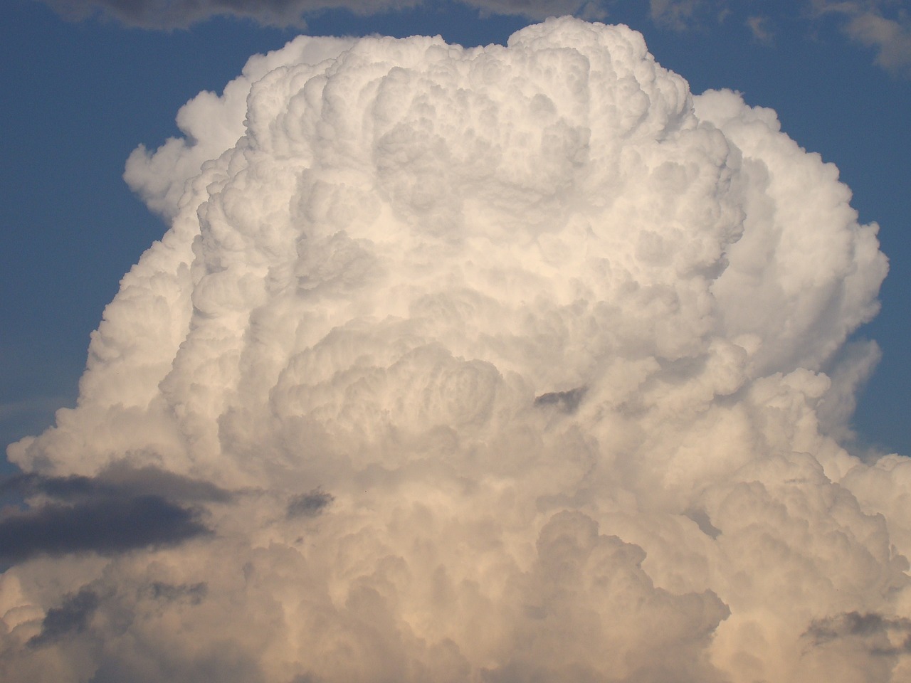 How To Enhance Your Productivity with Cloud-Based Tools
